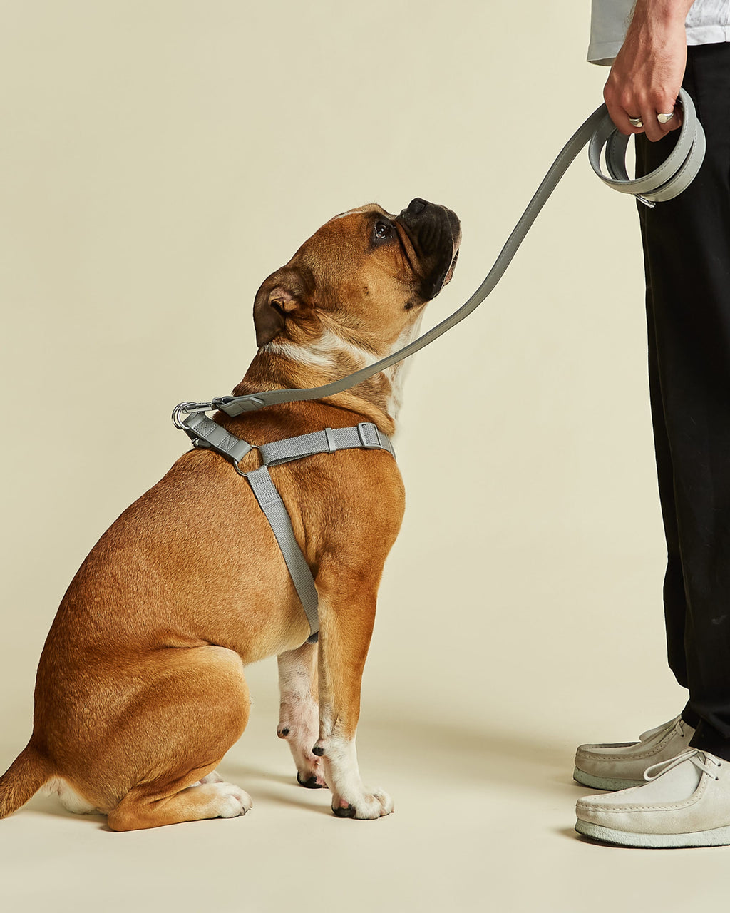 Large Grey Dog Harness with Matching Lead by Barc London