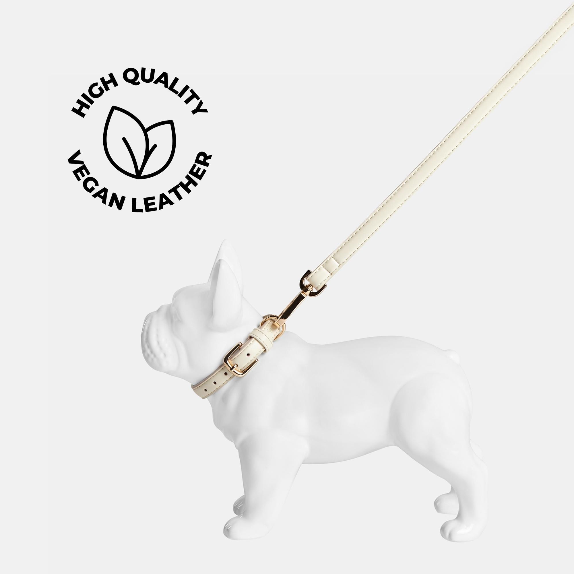 White dog sales collar and leash