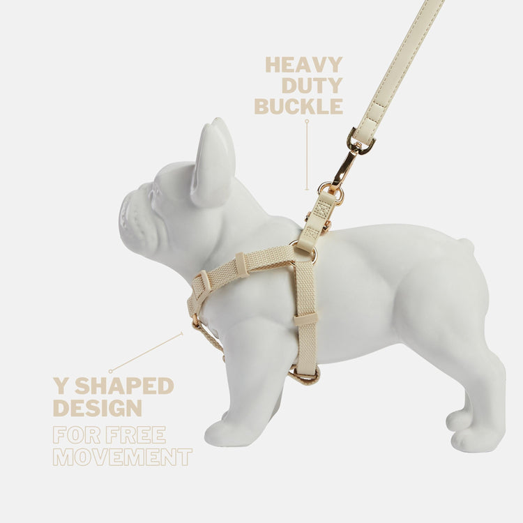 Light Ivory Y Shaped Dog Harness with Heavy Duty Gold Buckle and Off White Vegan Leather Back Straps 
