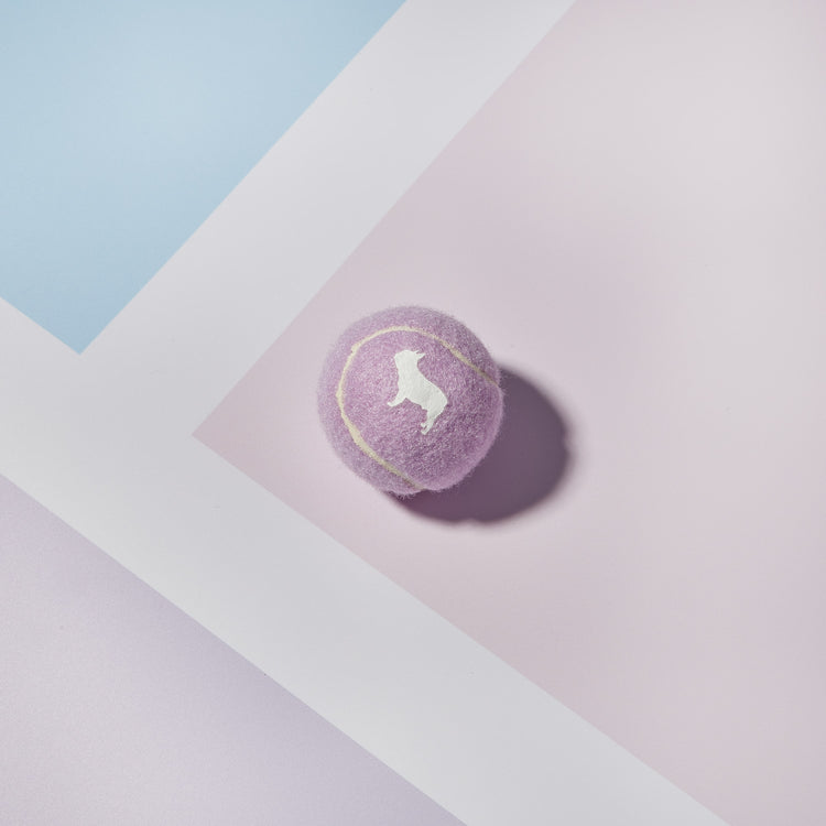 Light Purple Tennis Ball with Squeaker
