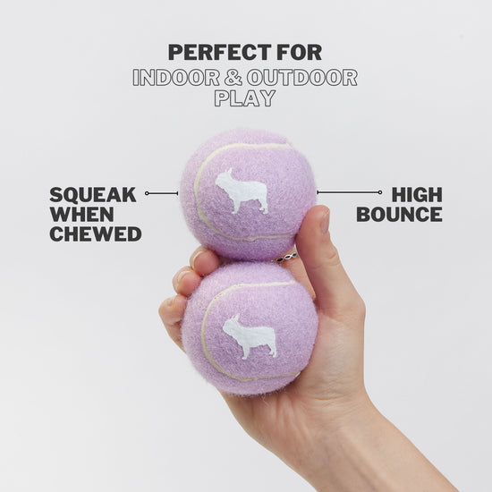 Two Lilac Dog Tennis Balls That Squeak When Chewed