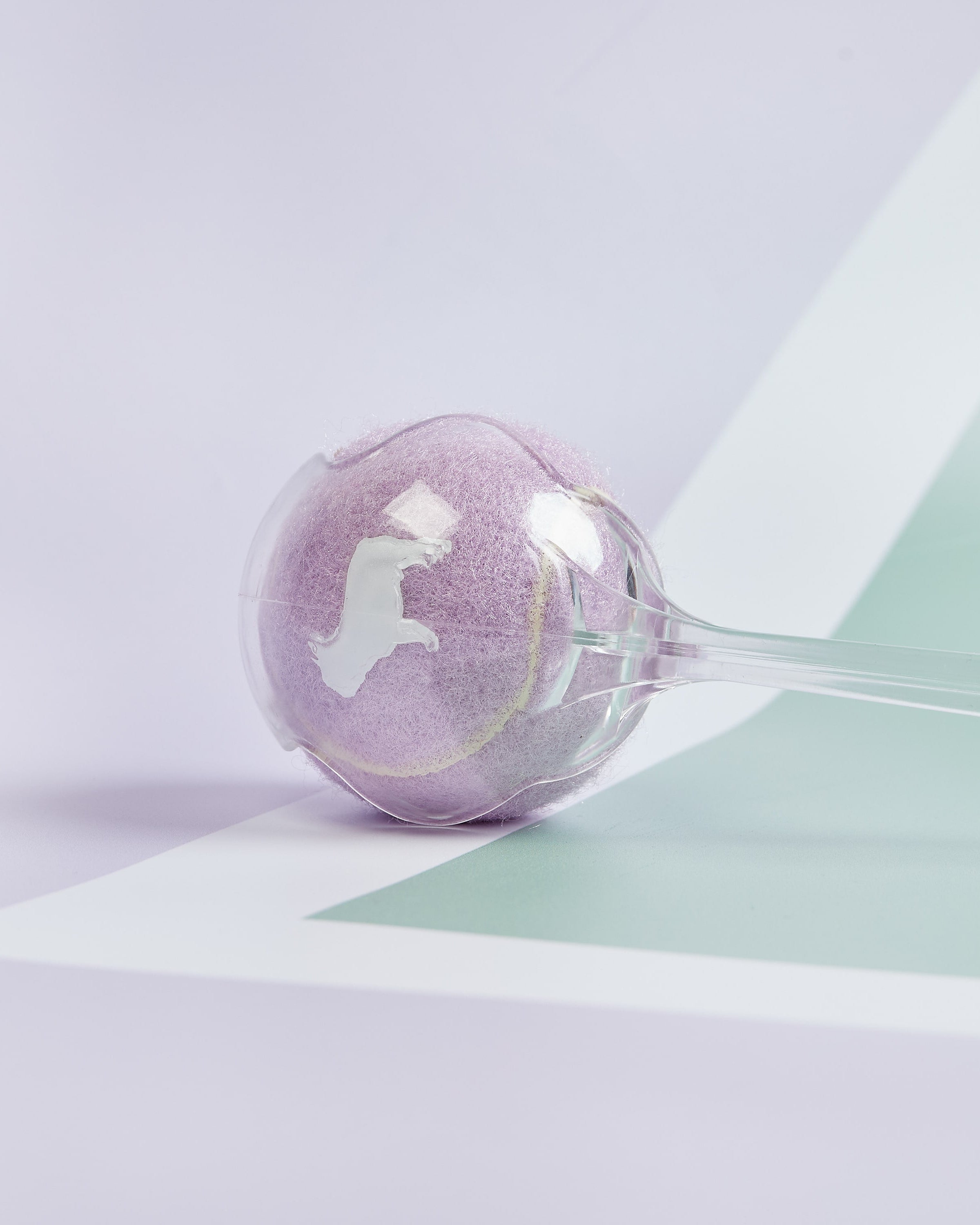 Lilac Dog Tennis Ball Launcher ready for Playtime Fetch