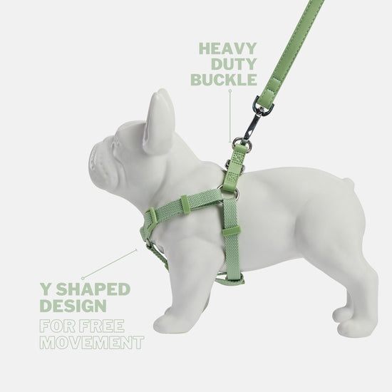 Lush Green Y Shaped Dog Harness, Designed for Complete Freedom of Movement. Back Clip Harness Fastening with Heavy Duty Chrome Buckle