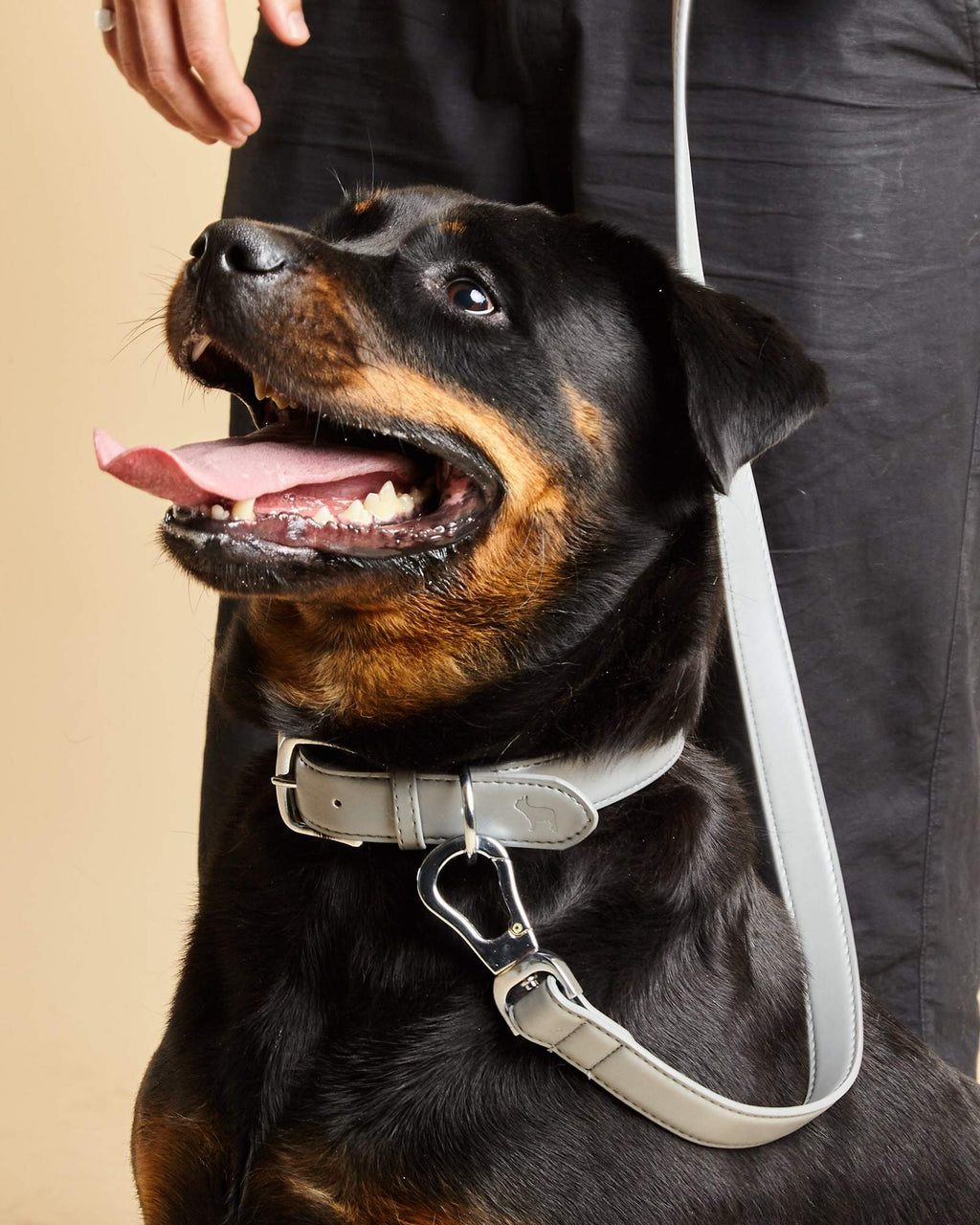 Modern Grey Dog Lead in Vegan Leather with Matching Collar