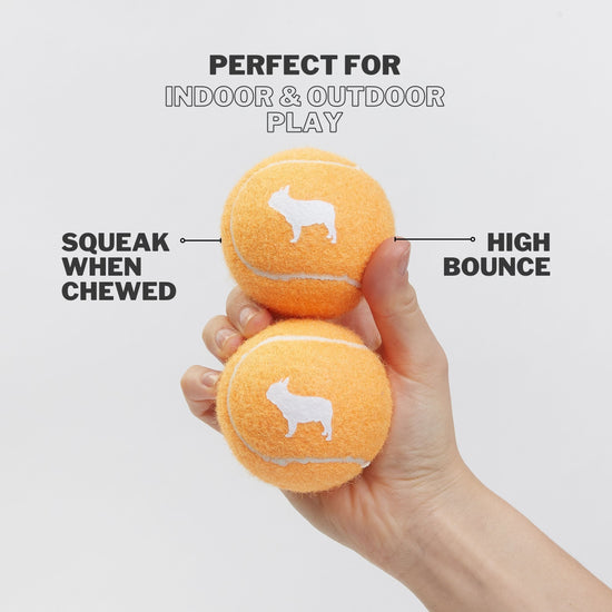 Orange Squeaky Tennis Balls With High Bounce for Indoor and Outdoor Play