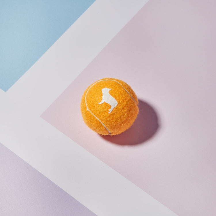 Orange Tennis Ball with White Barc London Logo