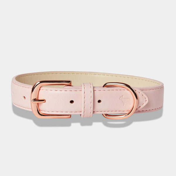 Blush Pink Dog Collar with Rose Gold Buckles Barc London