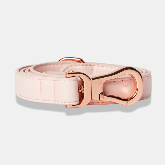 Pink Dog Lead With Rose Gold Buckles
