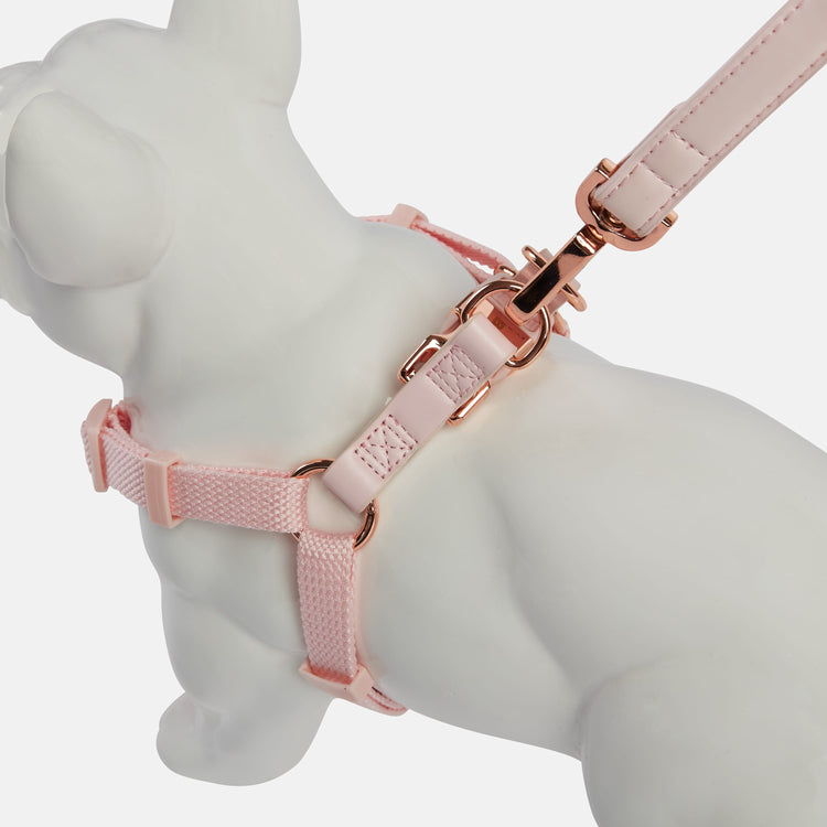 Small Pink Dog Harness with Matching Lead by Barc London