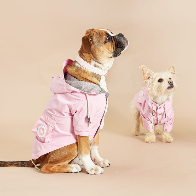 Yorkshire Terrier Wears Small Pink Dog Coat In Waterproof Material