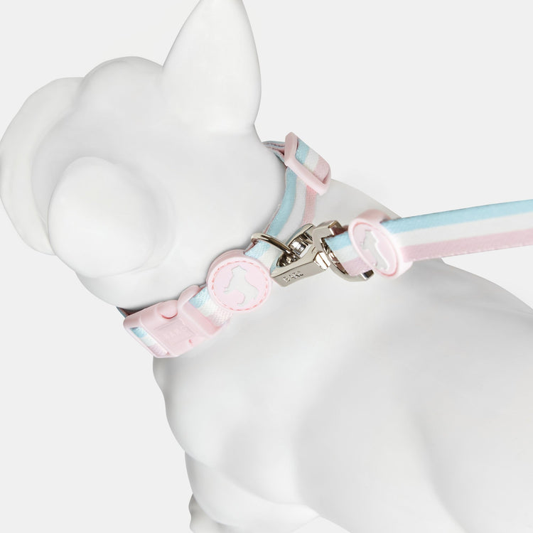 Pink, White & Blue Striped Dog Lead with Silver Buckle. Barc London Rubber Logo.