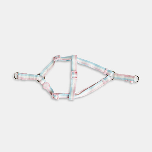 Pretty Dog Harness in Pastel Shades by Barc London. 