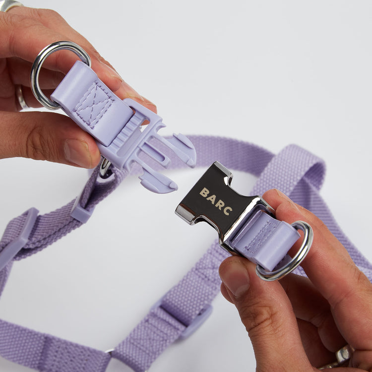 Purple Dog Harness with Chrome Lead Attachment and Barc London Branding