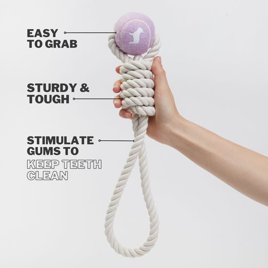 Dog Rope Tug Toy With Easy to Grab Light Purple Tennis Ball 