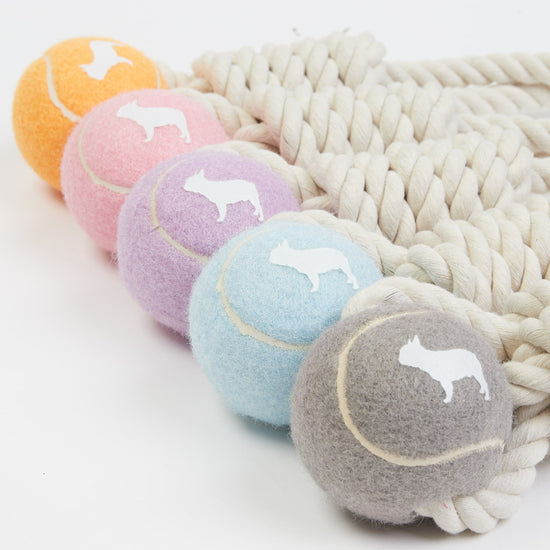 5 Coloured Tennis Ball & Rope Tug Toys by Barc London