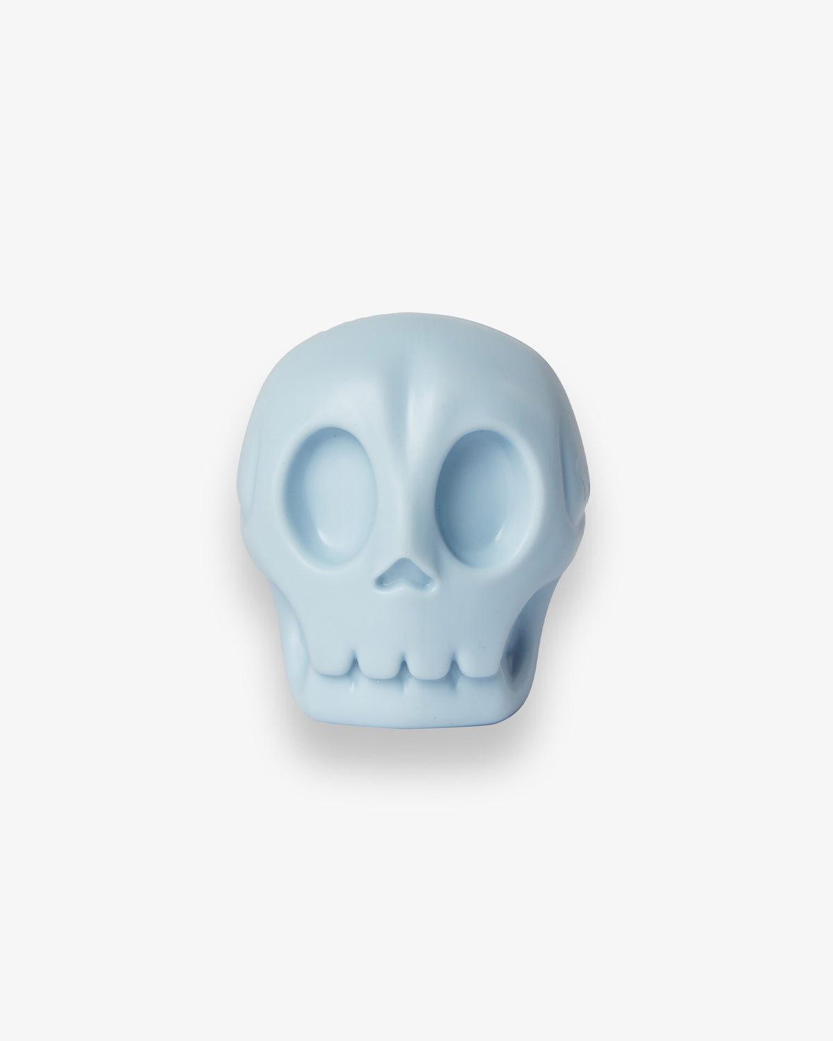 Skully Squeaky Dog Toy