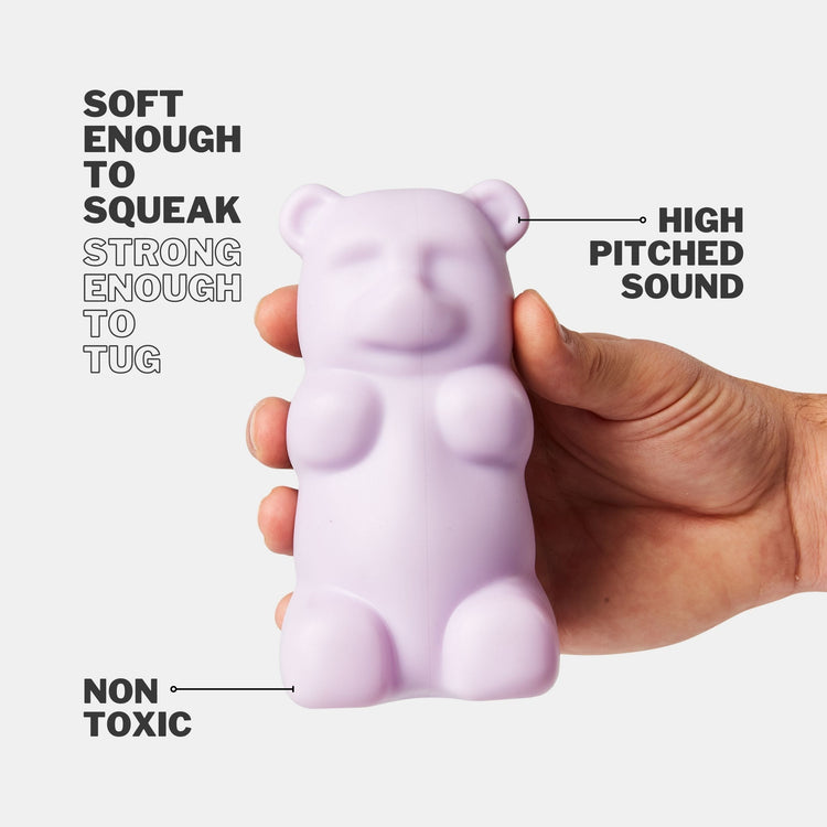 Squeaky Bear Dog Toy in Lilac With High Pitched Sound and Non Toxic Materials