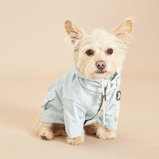 Yorkshire Terrier Wearing Dog Raincoat by Barc London