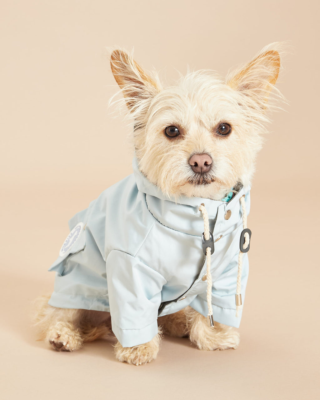 Yorkshire Terrier Wearing Dog Raincoat by Barc London